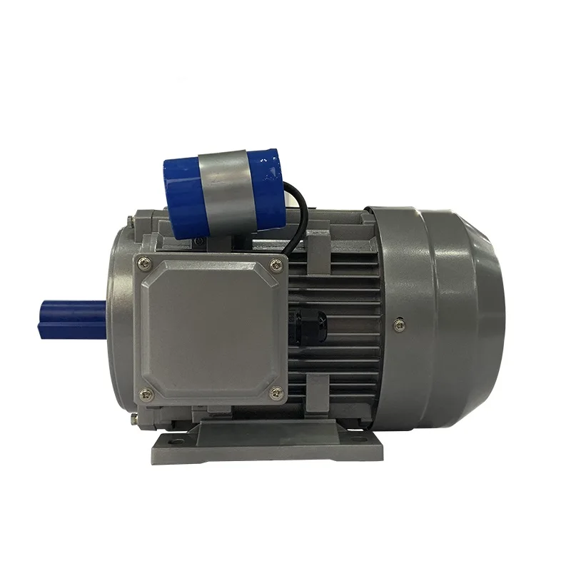 

IEC Electric Motor