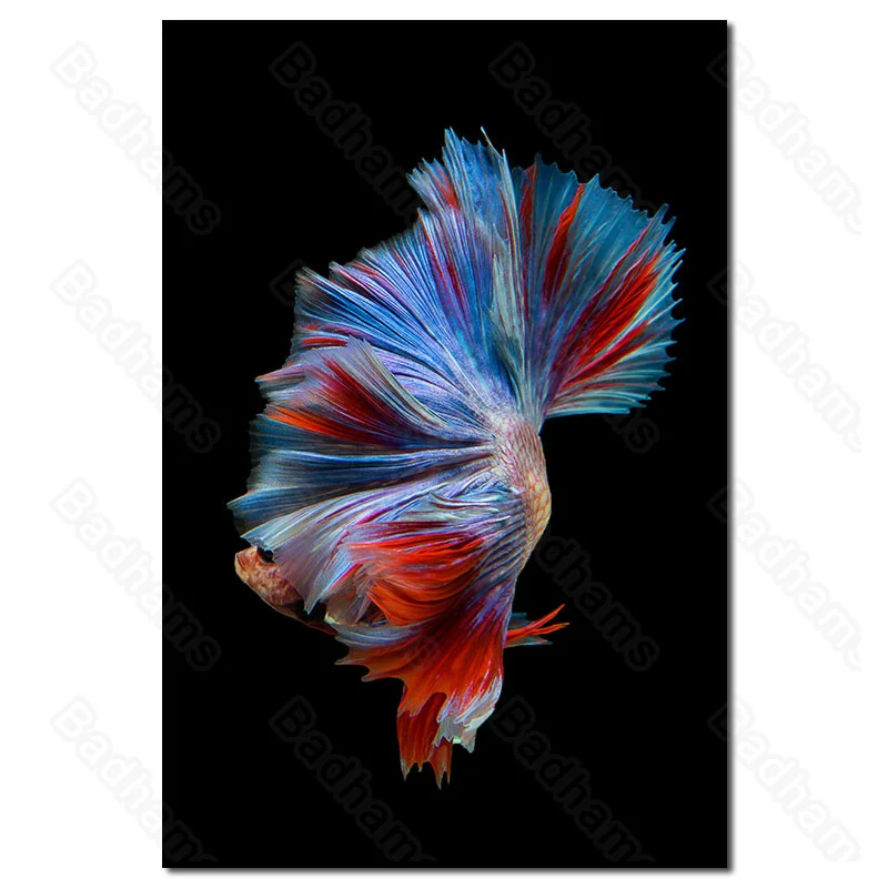 

Poster Animals Goldfish Canvas Painting Abstract Fishtail Skirt Frameless Room Aesthetic Decoration Accessories Painting