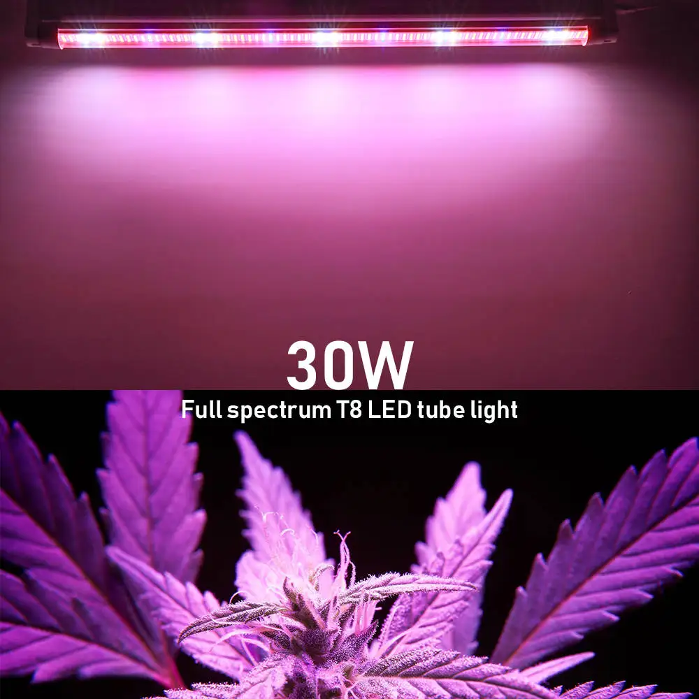 

60CM T8 Led Grow Light Tube Full Spectrum 30W Growing Phytolamp For Indoor Plants Greenhouse Tent Hydroponic Seedling Sunlight