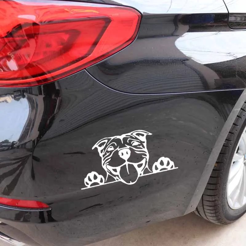 

YJZT 15.7X8.2CM Funny Car Sticker Paws Up Pitbull Bully Dog Decal Vinyl Decor Black/Silver C24-1577