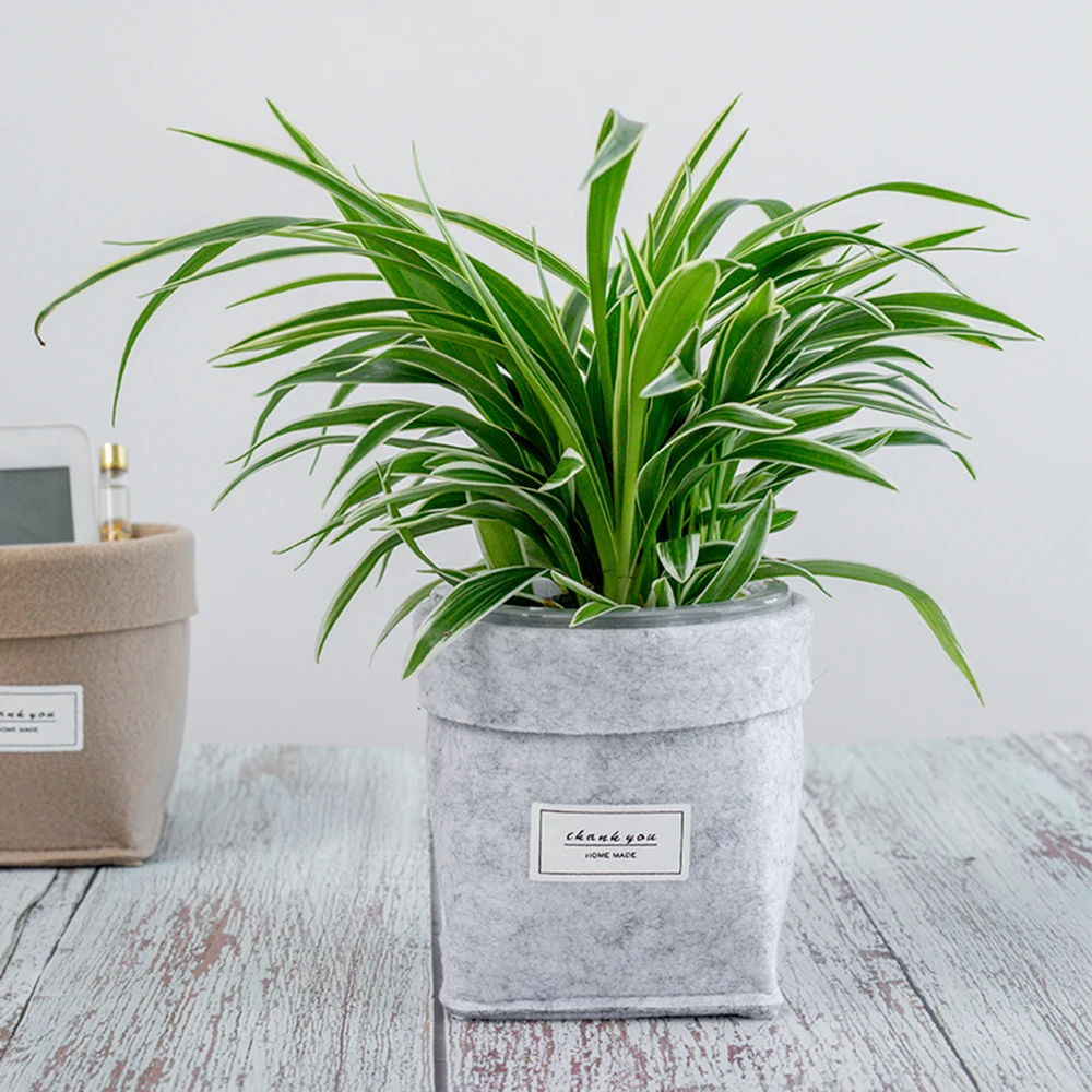 Gray/ Khaki Plant Grow Bag Home Decorations Desktop Flower Basket Fleshy Felt Pot Thicken Garden Pot Garden Supplies