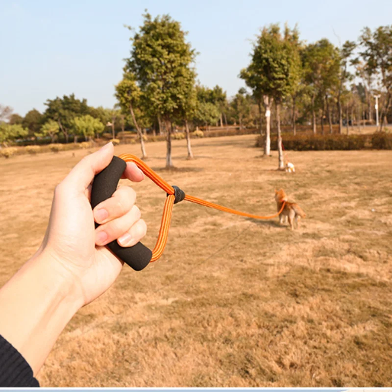Нейлоновый Поводок для домашних животных 3 м 5 10 | Дом и сад