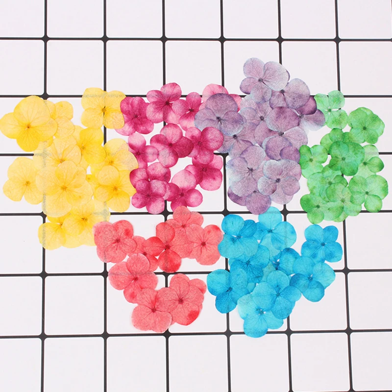 

Hydrangea dried flower pressed flower Epoxy necklace jewelry pressed flower phone case material 12pcs/bag