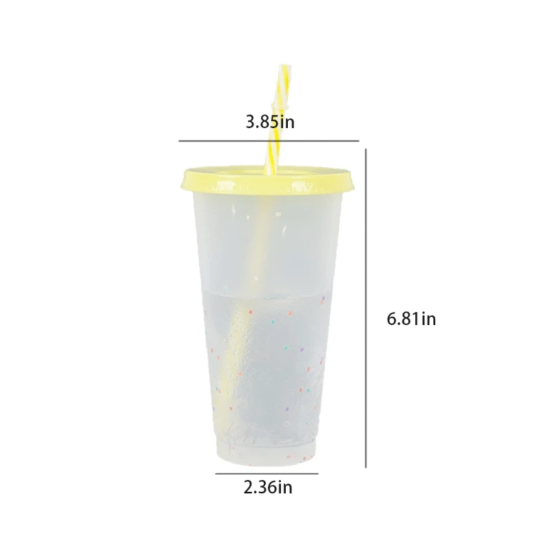 

5 Pcs Reusable 720ml Color Changing Rainbow Cup with Rainbow Straw and Lid Cup