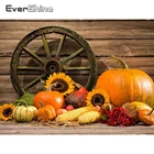 Evershine алмазная вышивка Хэллоуин подарок ручной работы 5D DIY алмазная мозаика тыква картина стразы украшения дома