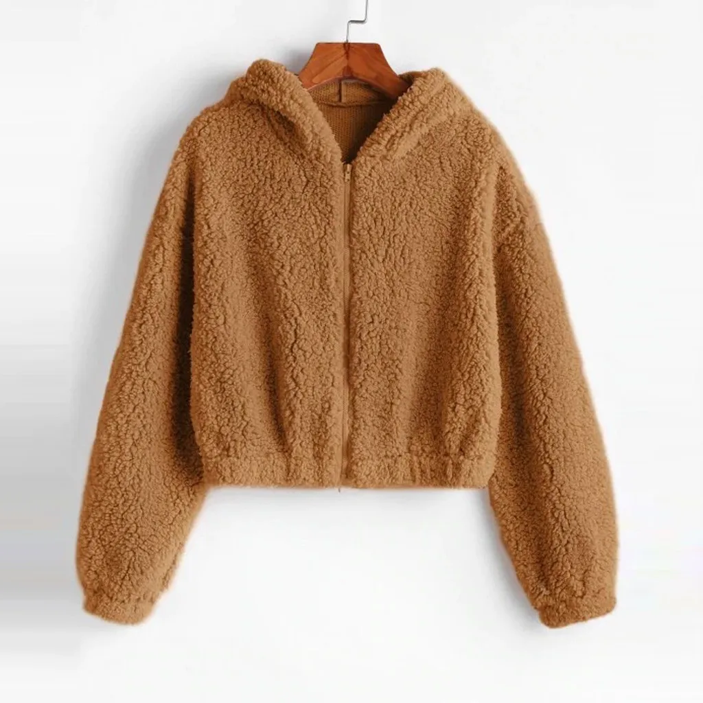 Hoodies Women Plush Coat Autumn Winter Warm Faux Lamb Fur Sweatshirts Long Sleeve Collar Zipper Solid Pullovers Tops 2021 | Женская