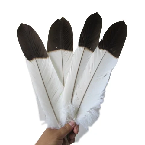 

1 set of 68pcs Real Natural White Eagle feathers 35-65cm Top Quality Eagle bird feather For Wedding decoration diy jewelry Plume