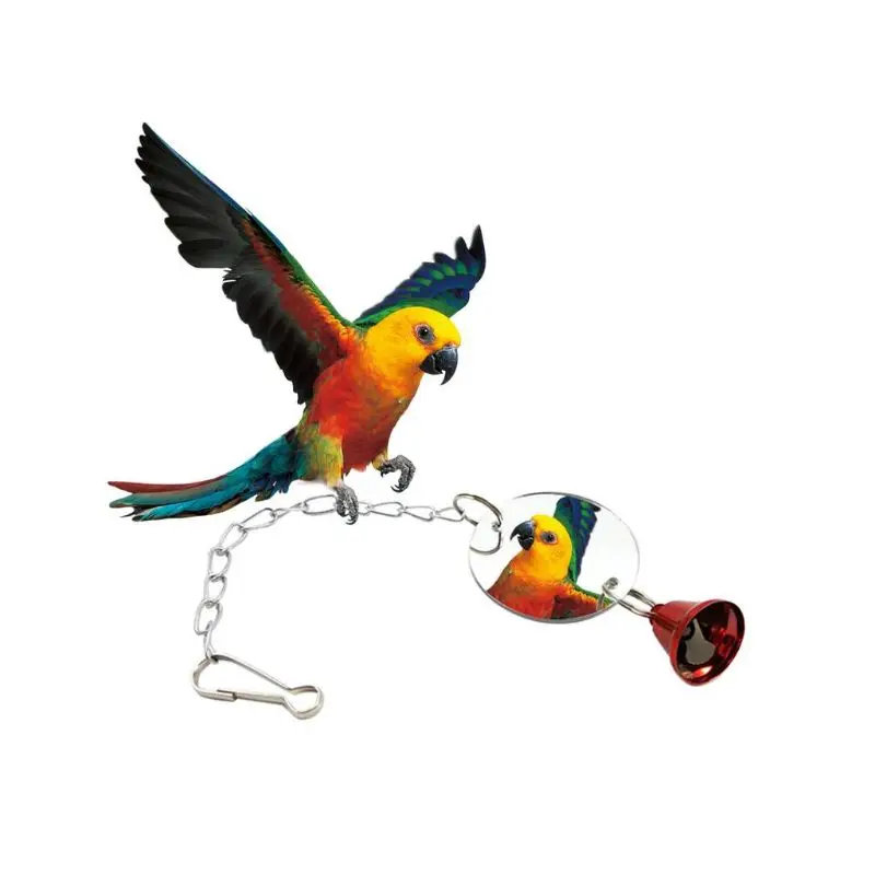 Забавный нетоксичный попугай птица ЗЕРКАЛО милая форма подвесной колокольчик