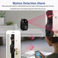 Недорогая умная камера с функцией слежения за объектом #4