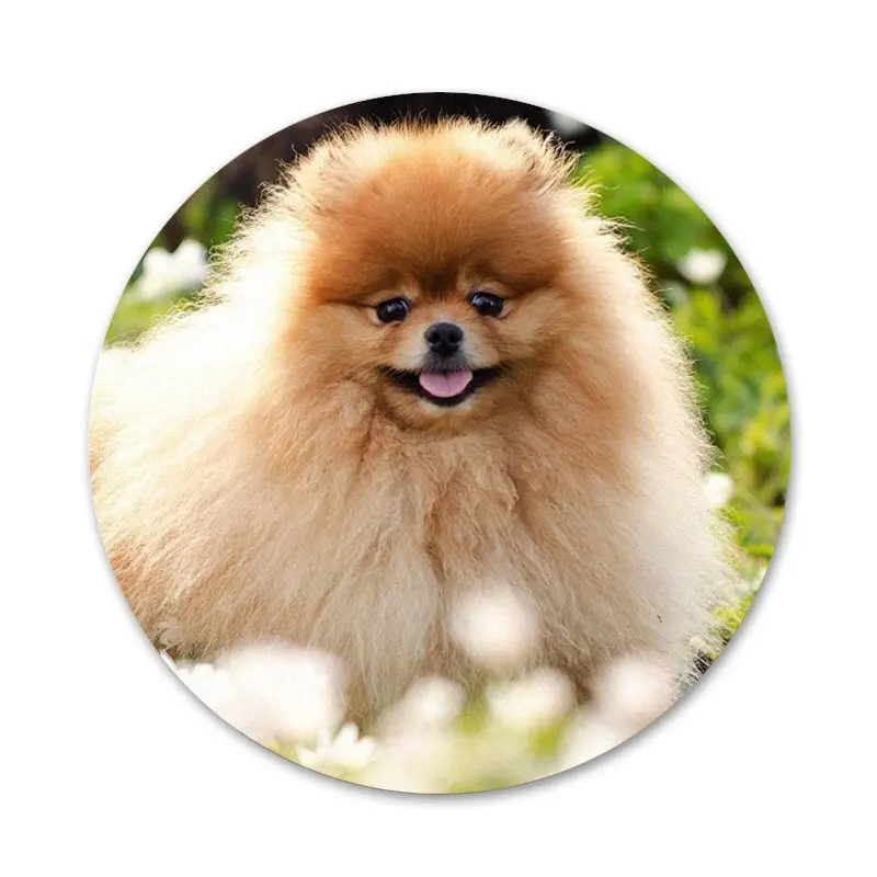 Брошь значок на булавке в виде собаки померанского шпильки аксессуары для одежды