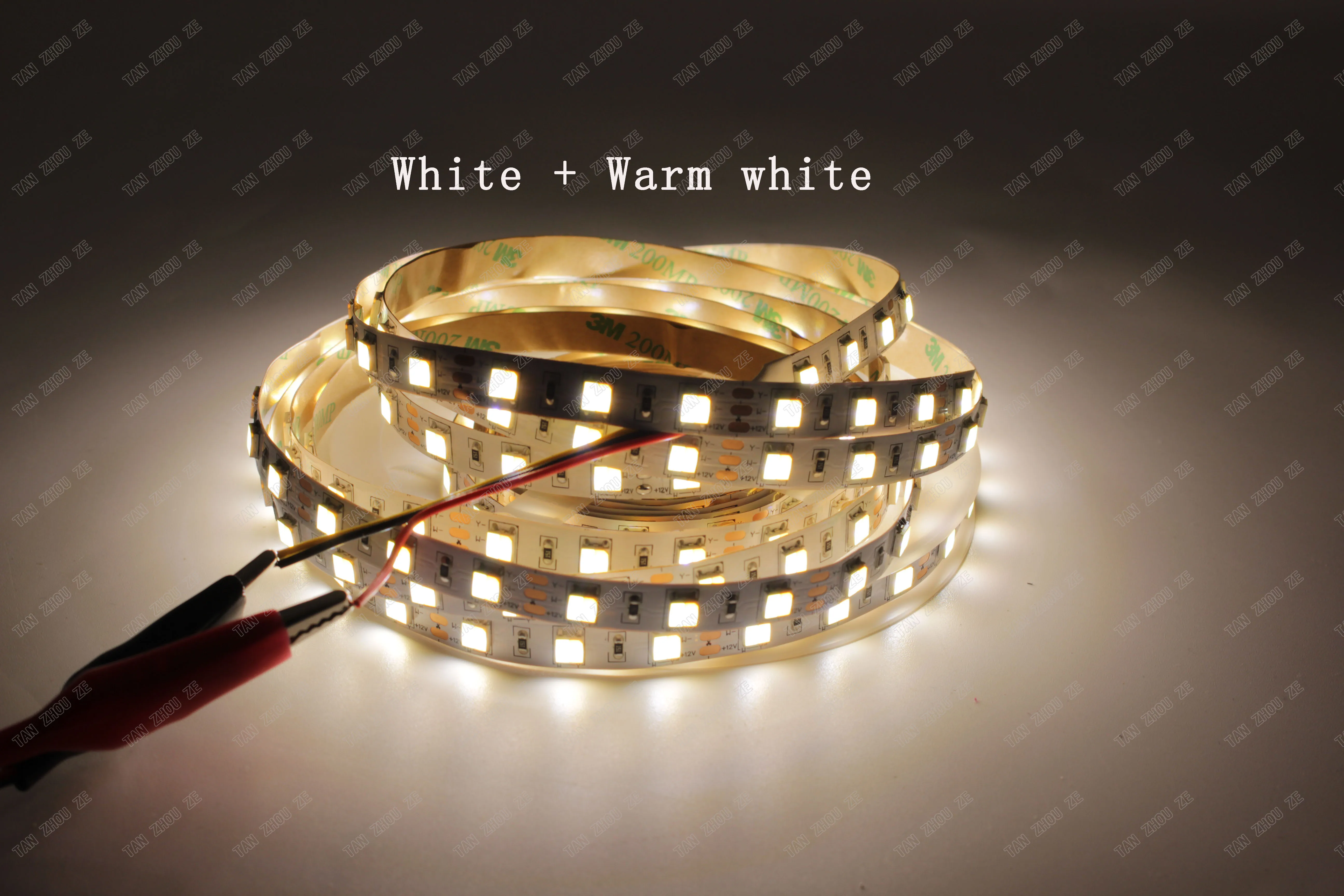 3pin 5 м 12 в двойной цвет 5050/5025 Светодиодная лента DC12V гибкая лента, CW/WW двойной белый в 1 чип Цвет температура регулируемая CCT
