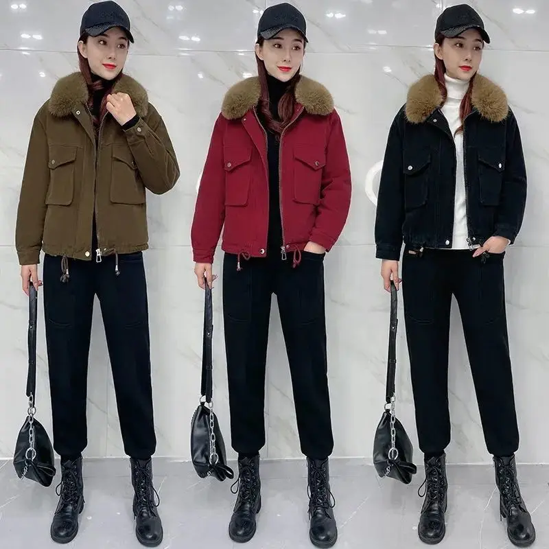 

Женская короткая куртка на молнии, с хлопковой подкладкой и капюшоном, A237