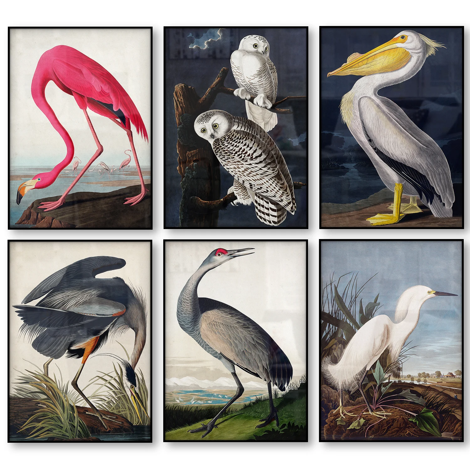 Винтажная птица холст печать Audubon плакаты с птицами Розовый фламинго Заснеженная