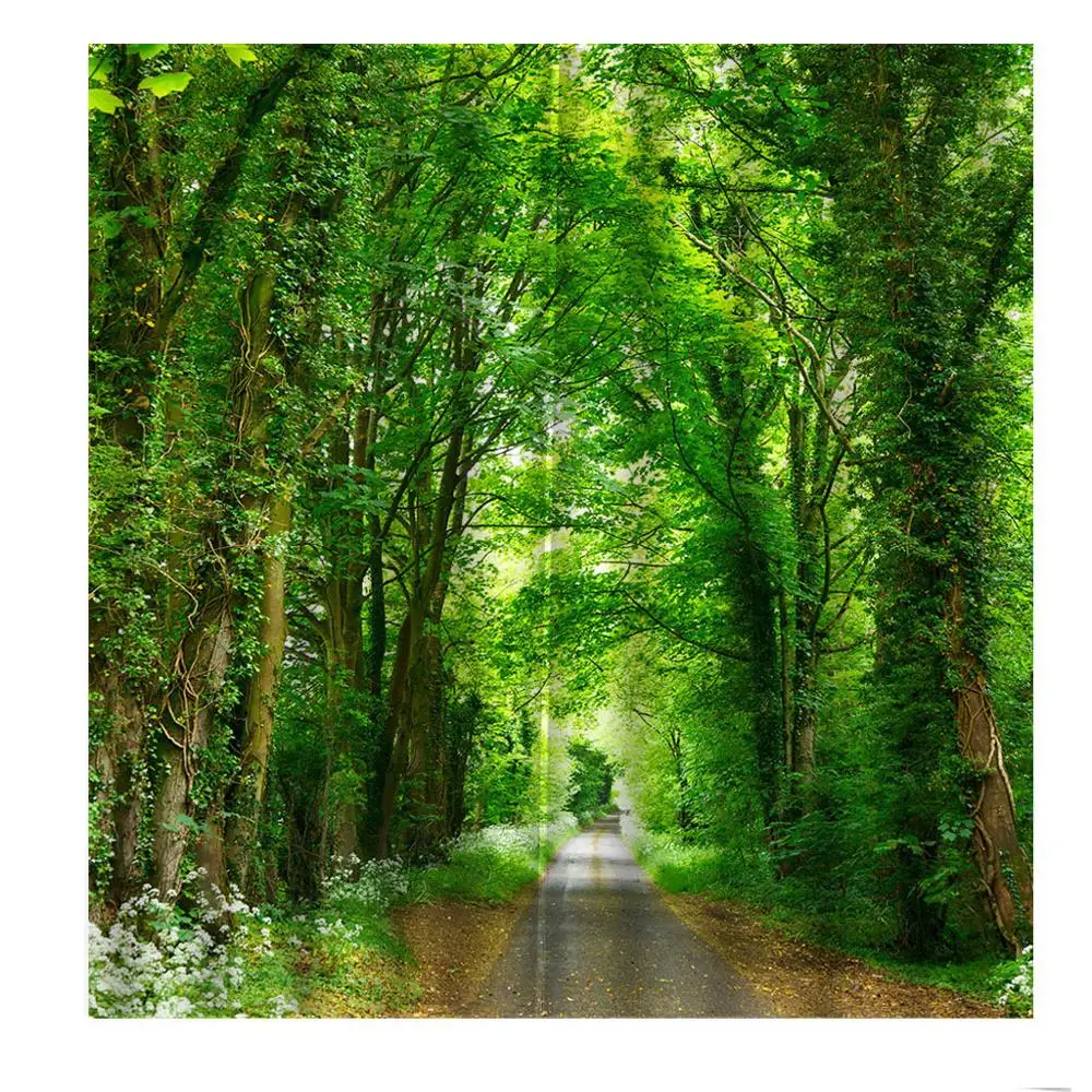 HD Большие индивидуальные природные пейзажи лес дорога фото занавес для гостиной
