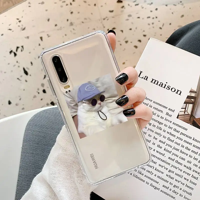 

Cute Cat Phone Cases Transparent for Samsung A71 S9 10 20 HUAWEI p30 40 honor 10i 8x xiaomi note 8 Pro 10t 11