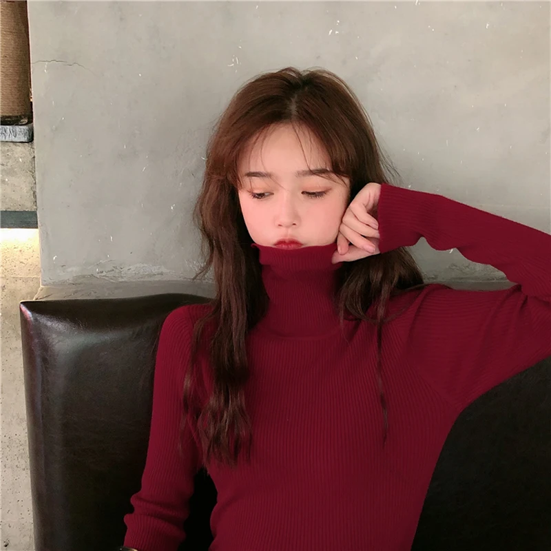 Женский трикотажный свитер-водолазка с длинным рукавом | Женская одежда