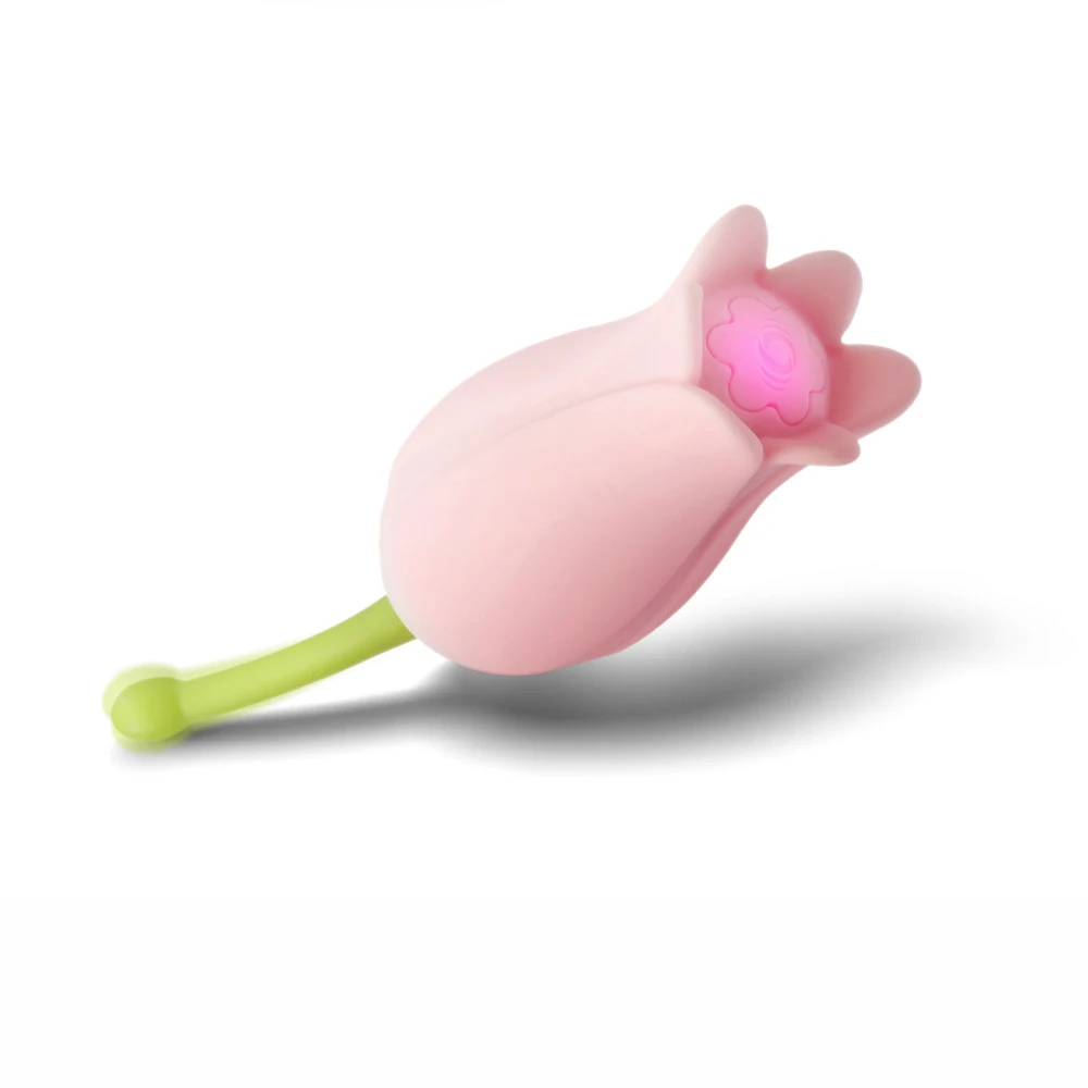 

Ultrasonic High Frequency Massager for Women Fast Scream Orgasm Sensitive Spot Clitoris Stimulator Climax Nipple Massage Tools