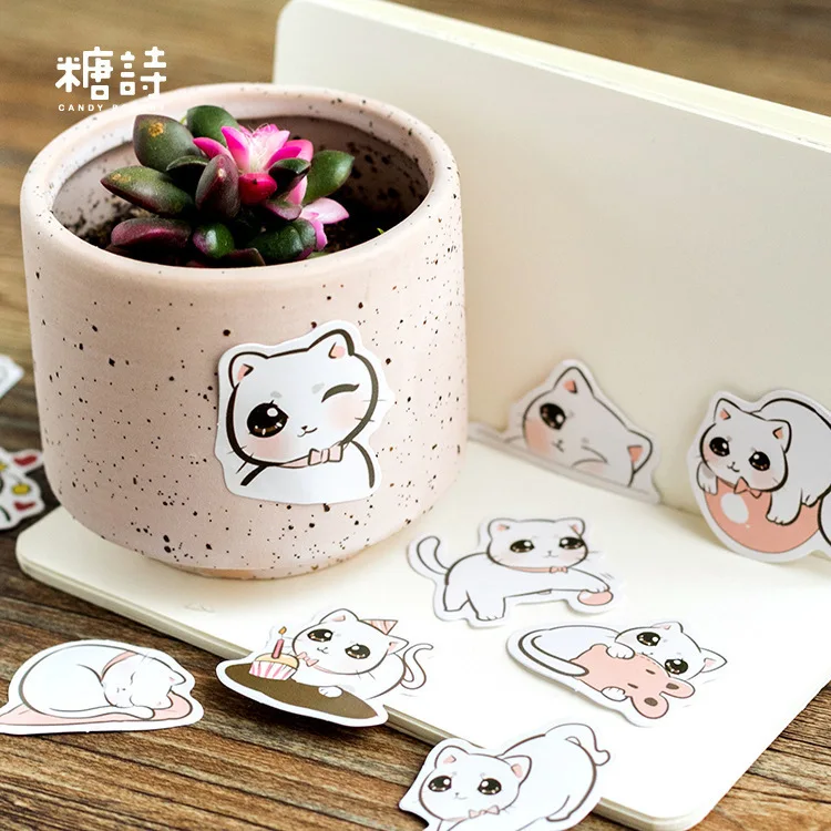 45 шт./кор. большой дневник кошачий глаз бумажные этикетки и наклейки поделки