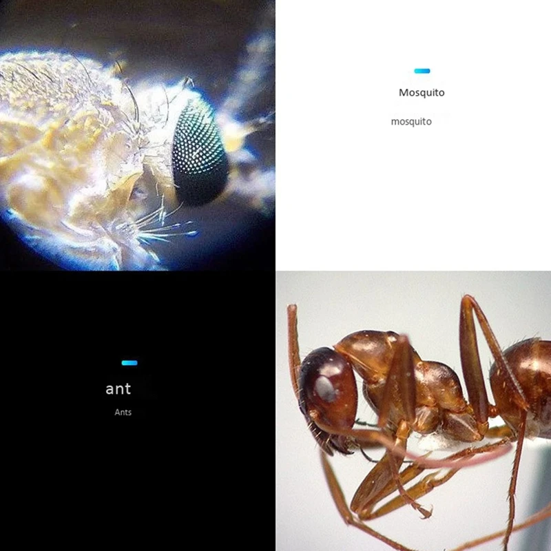 Мини микроскоп 100X HD для смартфона портативный светодиодный объектив с USB