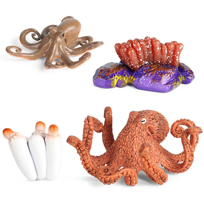 

Simulation Animals Wildlife Sea Life Octopus Growth Cycle Action Figures Model Educational Cognitive Collection Cute Kids Toys