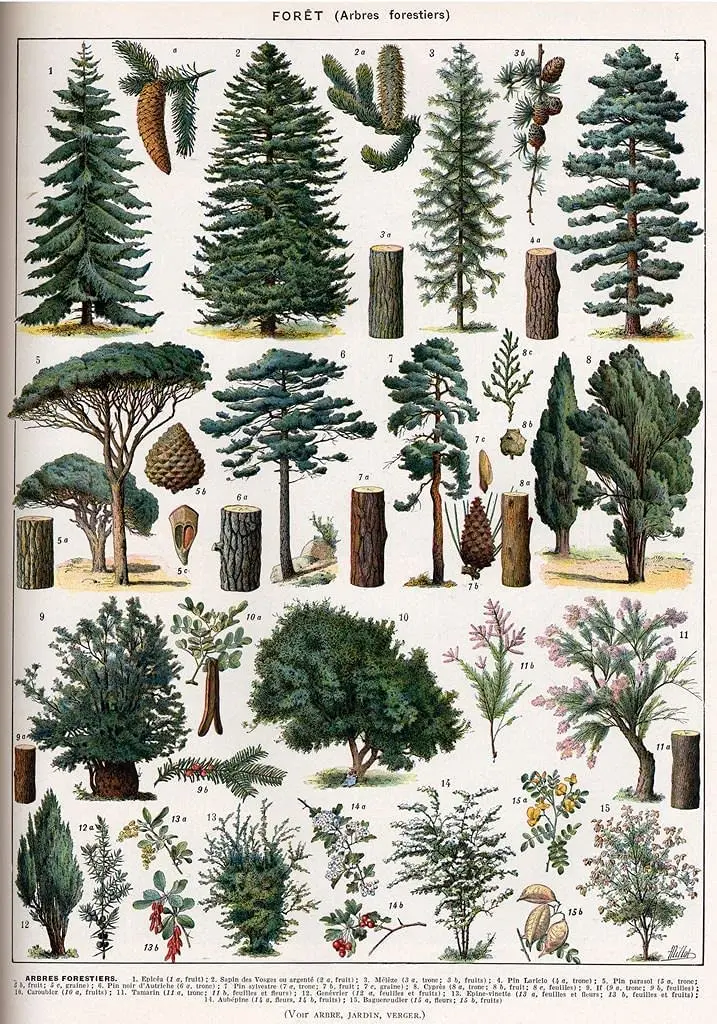 

ZMKDLL Home Decoration Forest Metal Tin Sign Forest Wall Art Pine Tree Nature Forest Decor Outdoor Indoor Wall Panel Retro