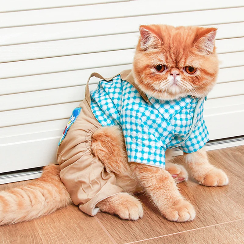 Зимний теплый комбинезон для кошек одежда милых щенков костюм Kedi Katten animaux de compagnie