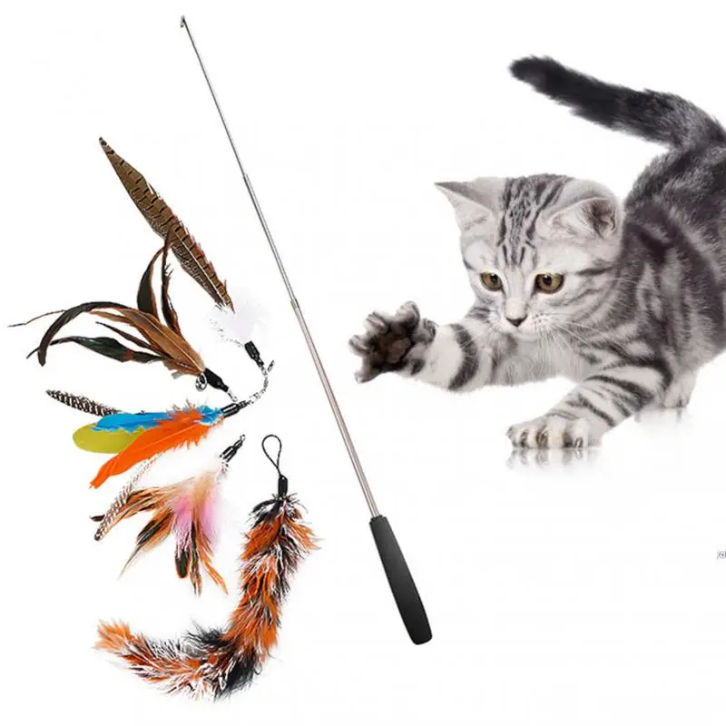 

Pet Fishing Cat Funny Cat Stick Wand Three Section Telescopic Feather Replacement Head Kitten Toy Toys Supplies Cat Supplies