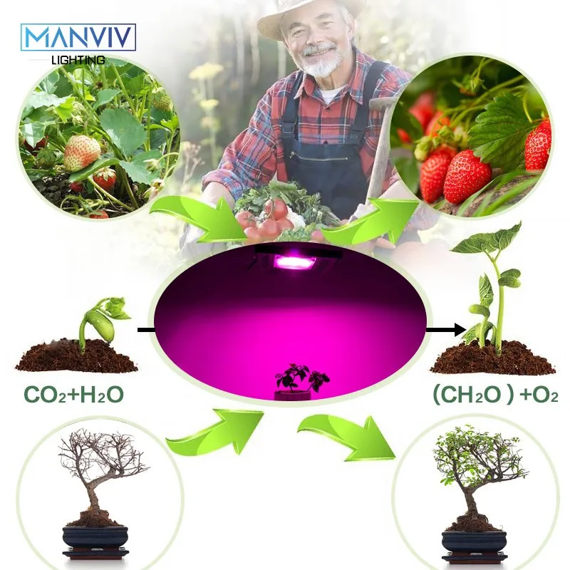 

Phytolamps For Plants Full Spectrum Phyto Lamp Led Grow Light Fitolamp Indoor Seedling Fitolampy Plant Growing IP65 Waterproof