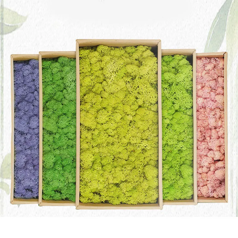 Искусственное зеленое растение неувядающий искусственный цветок мох трава для