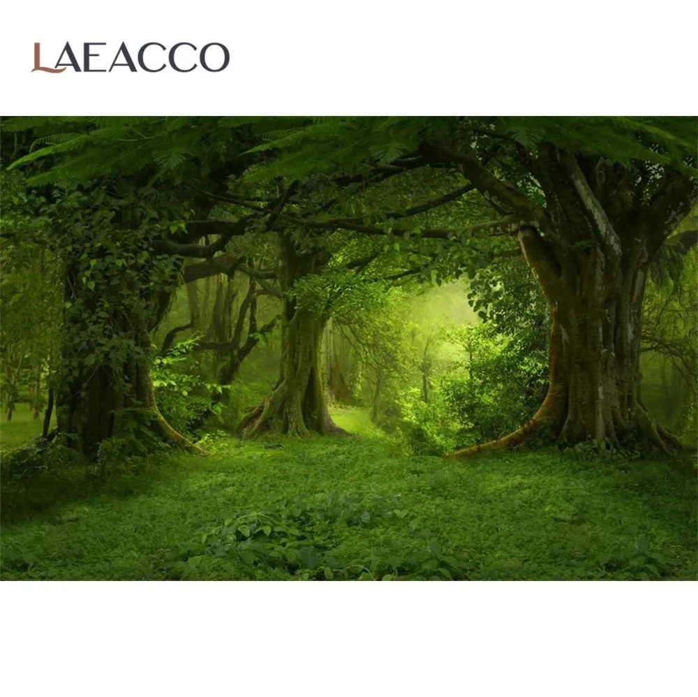 Laeacco тропический дождь Лес Дерево Зеленый мох трава портрет фото фоны на заказ