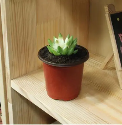 

Mini Plastic Round Flower Pot Holder Nursery Planter Grow Box Fall Resistant Tray for Home Garden Home Decor Gardening