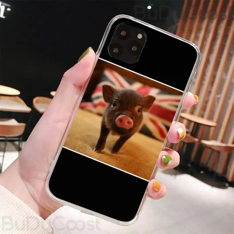 

Funny Cartoon Pig Coque Soft Phone Cover For iphone 11 Pro11 Pro Max X 8 7 6 6S Plus 5 5S SE cass