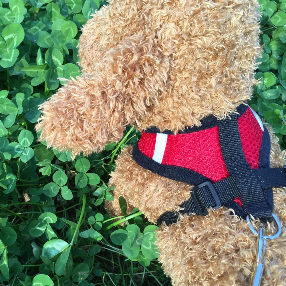 Dog Harness Ling Chong Pet Leads Chest Straps Small Adjustable Dogs Training Collar | Дом и сад