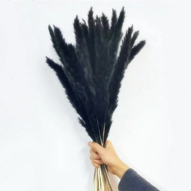 Сушеные цветы белая пампасная трава черный хвост кролика искусственный