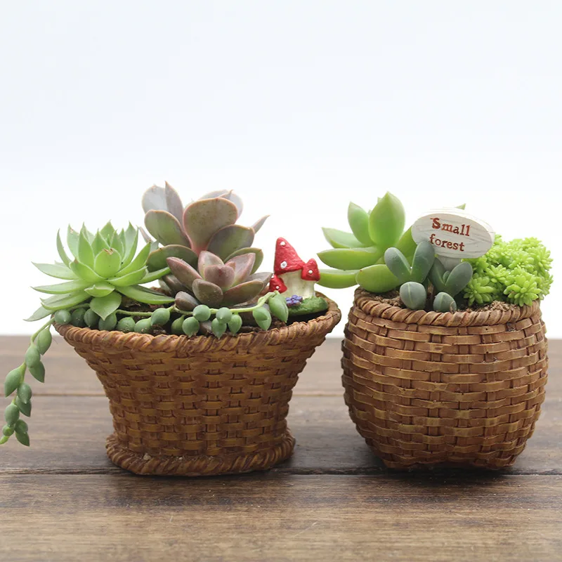 Креативный многомясовый бамбуковый горшок с ананасом Лесным Орехом для