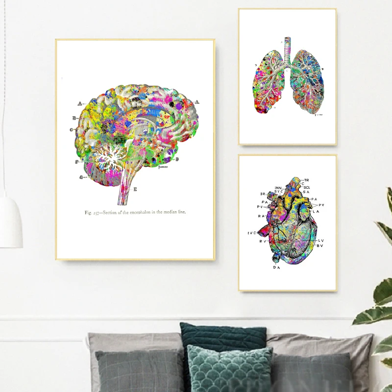 Anatomie Hart Hersenen Abstract Medische Wall Art Canvas Schilderij Print Nordic Posters en Prints Muur Foto 'S Voor Woonkamer