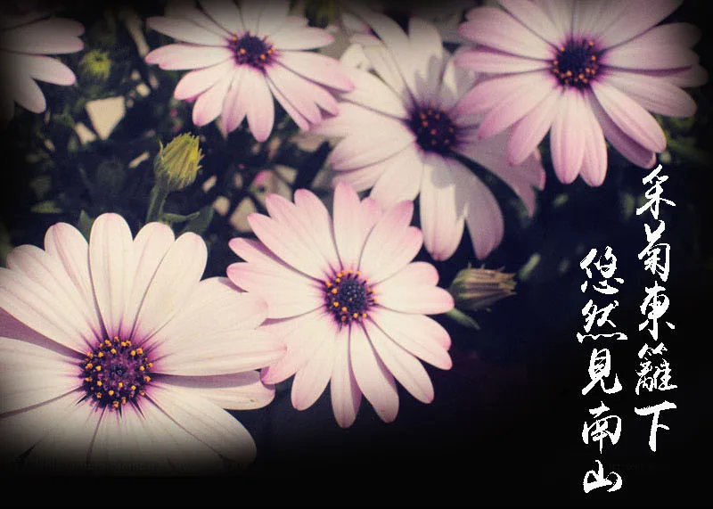 Женский мини-кошелек из воловьей кожи ручной резной кошелек с ромашками мужской