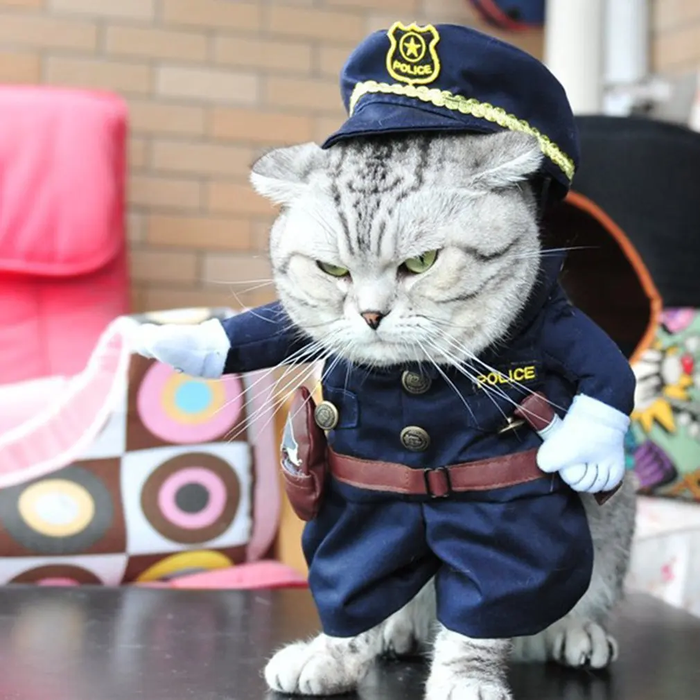 Мягкий и дышащий прекрасный дизайн большое использование Косплей