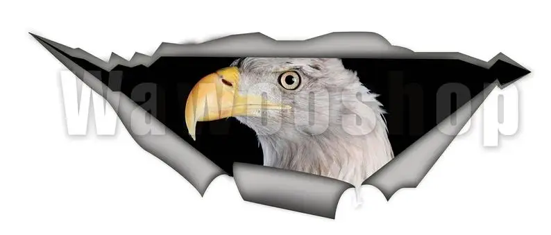 

2021 Eagle car decal , bird car decal, Vinyl decal, bird sticker, funny decal, eagle sticker