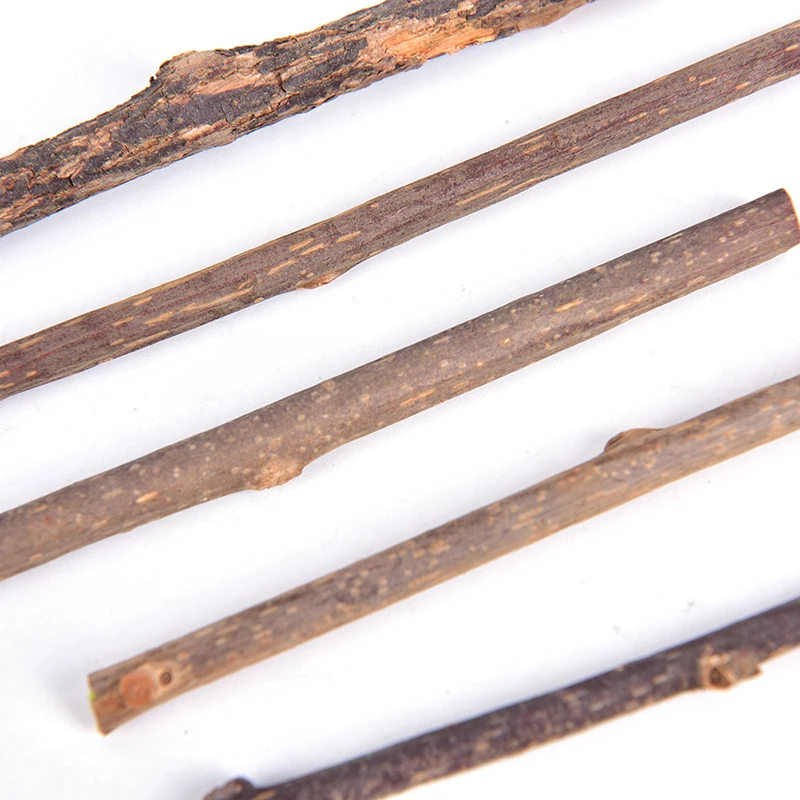 

5PCS/lot Pet Cleaning Teeth Natural Catnip Pet Cat Molar Toothpaste Stick Actinidia Fruit Silvervine Cat Snacks Sticks
