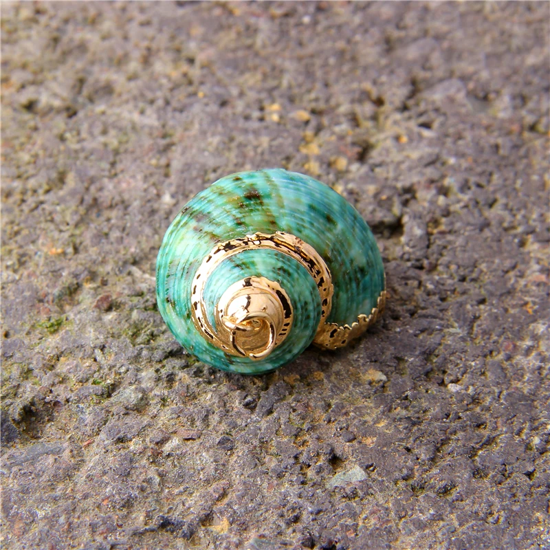 5 шт. случайные ювелирные изделия из ракушек натуральный зеленый раковины кулон с