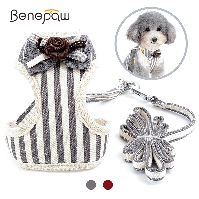 Benepaw Модный Полосатый поводок для маленьких собак комплект бабочка дышащая сетка
