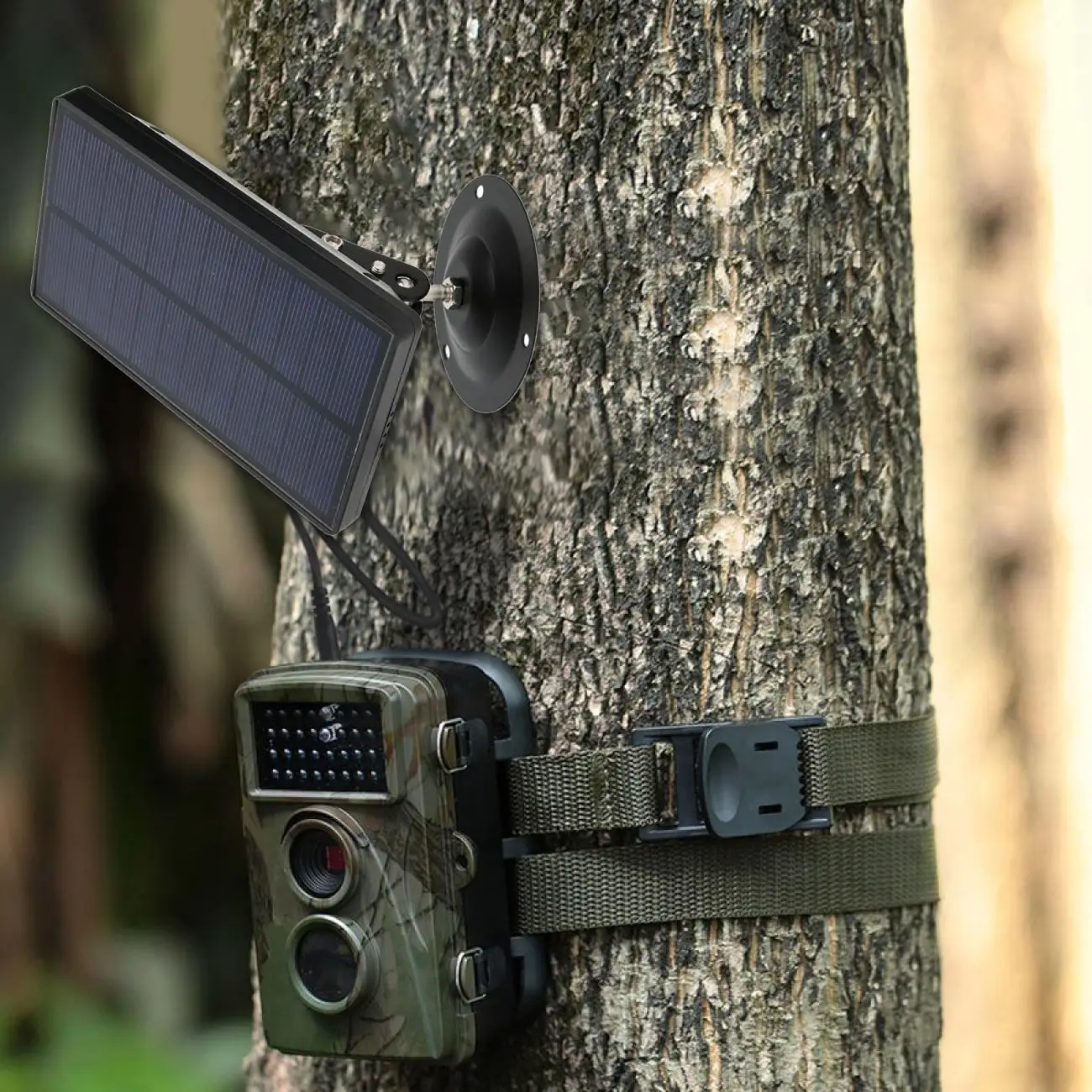 

Солнечная панель для перезаряжаемой батареи Otudoor Camera 1800mah 9V Водонепроницаемая солнечная панель для охотничьей камеры