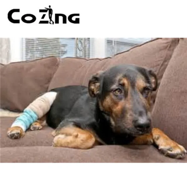 Низкая Лазерная терапия 650 нм и 808 инфракрасная лазерная CE сертифицированное