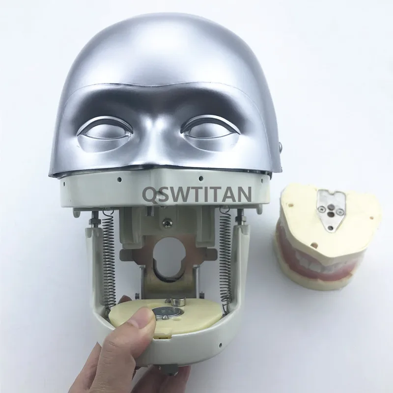 Стоматологический симулятор модель обучающего оборудования|Стоматологическая