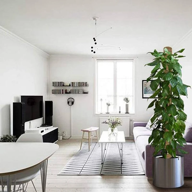 

5PCS Plant Stakes 50 cm Plant Supports - Natural and Organic Coco Coir Moss Pole Totem Garden Flower Support Stake