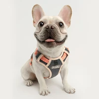 dog chest harness leash dog chain dog rope pet supplies dog harness dog harness and leash set