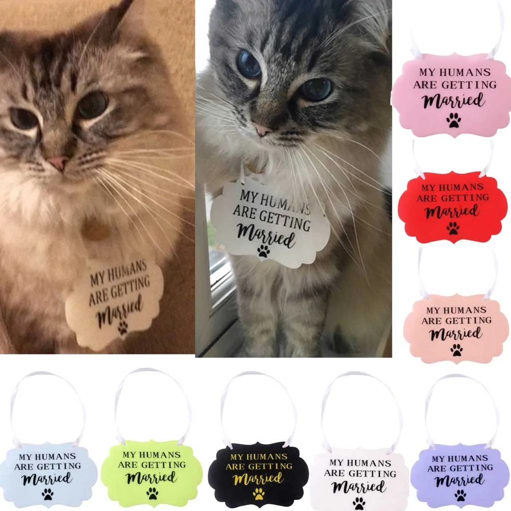 Висячая тарелка для домашних животных изящная висячая Свадебный памятник