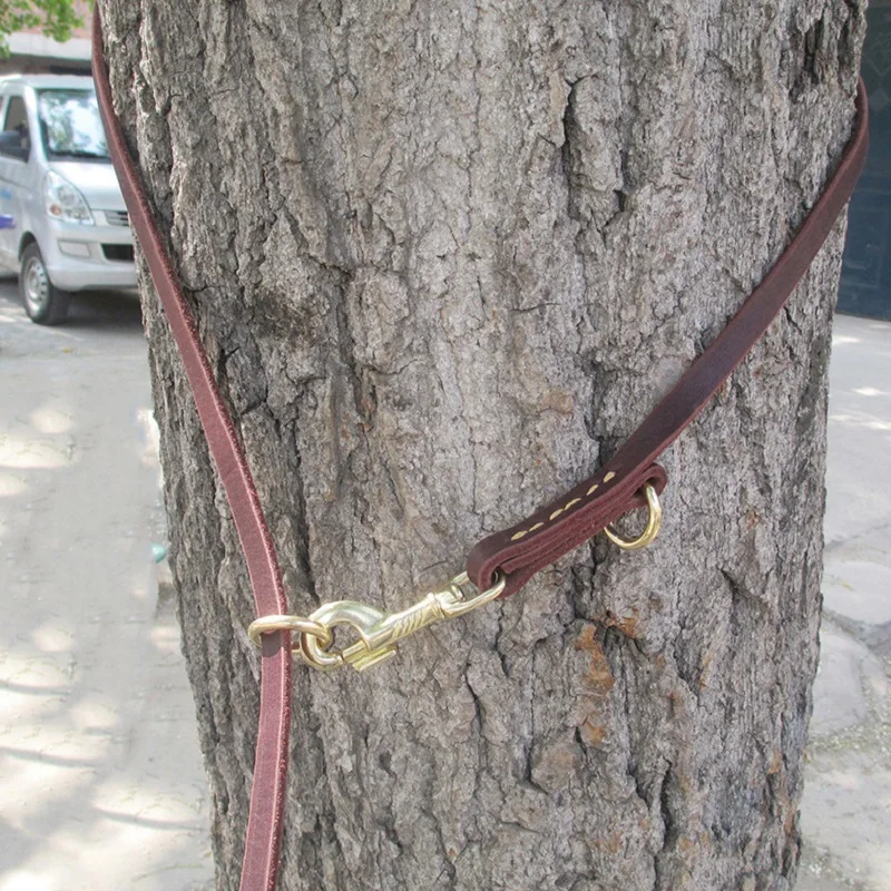 

Multifunctional two Dog Leash Genuine Leather Double Leashes P chain Collar Adjustable Long Short pet Dog Walking Training Leads