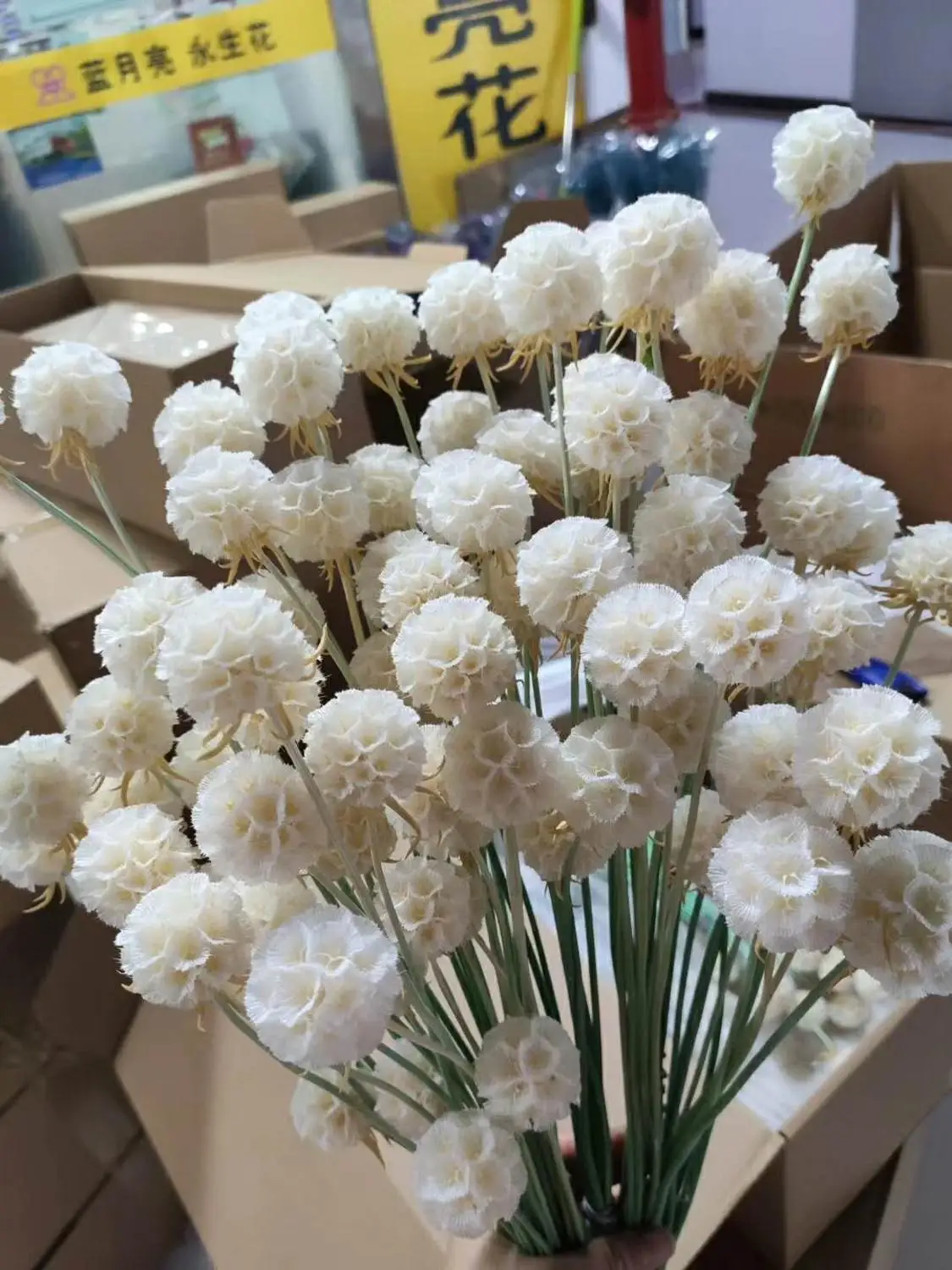 10 шт. конус сосны ветряная мельница для фруктов сохраненные цветы Рождественское